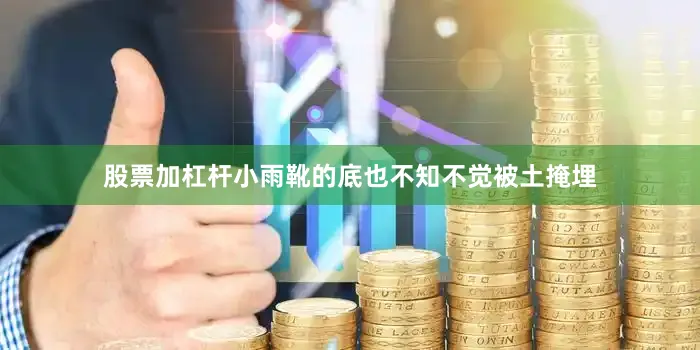 股票加杠杆小雨靴的底也不知不觉被土掩埋