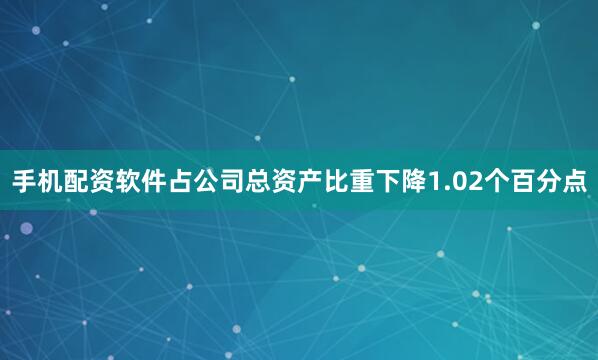 手机配资软件占公司总资产比重下降1.02个百分点